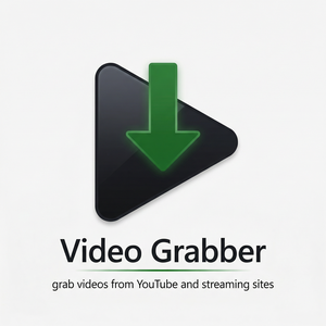 IDM官网 - IDM日期格式设置